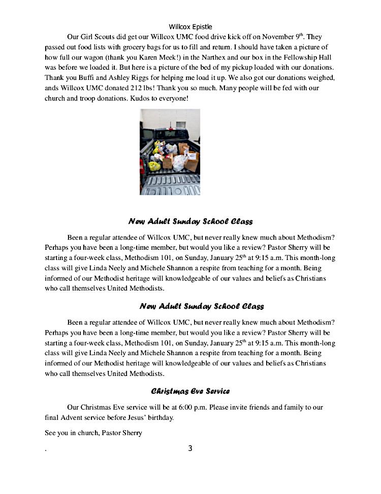 newsletter page 3